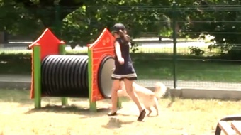 Plac zabaw dla czworonogów