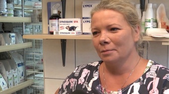 Na wczasy z czworonogiem