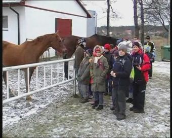ITAKA w stadninie koni
