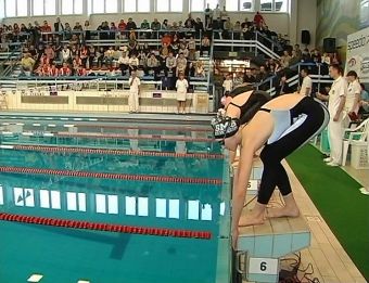 Mistrzostwa w pływaniu