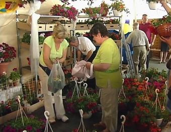 "Eko Targi " w Pietrowicach