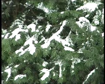 Zima nie chce nas opuścić