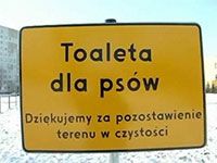 Pierwsza psia toaleta